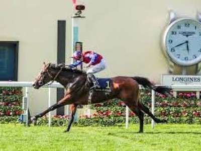 Changingoftheguard Provides Trainer Aidan O'Brien With His 8 ...